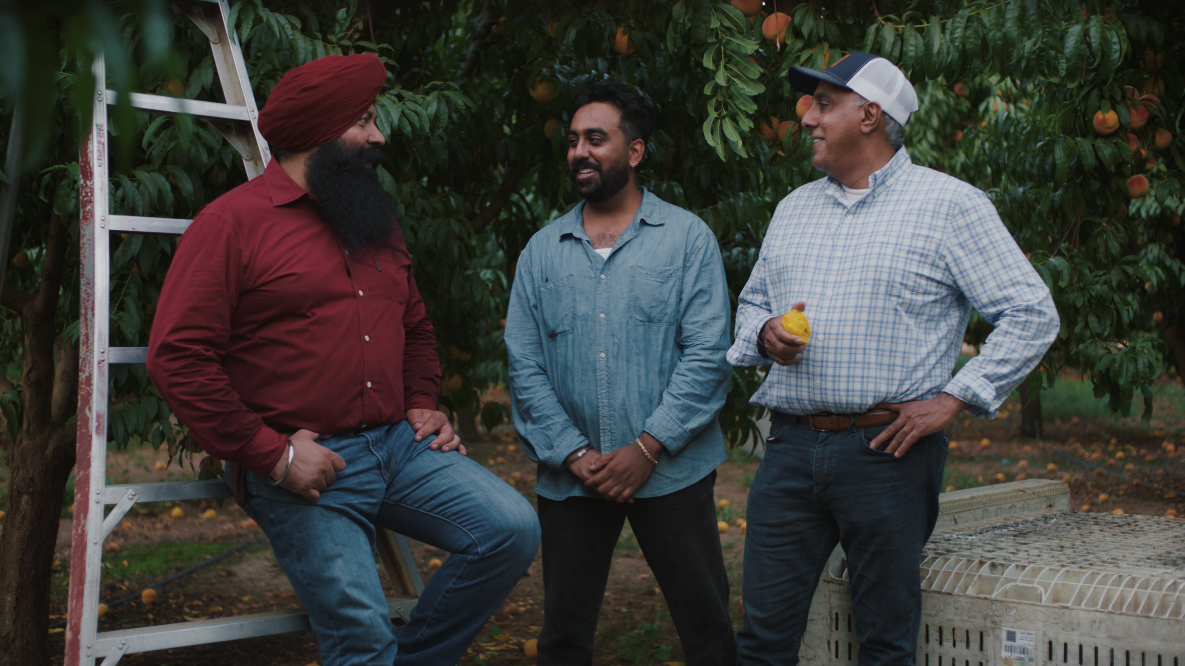 Three men talking in a peach orchard in Yuba City, California